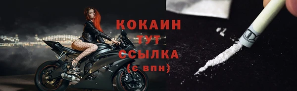 шишки Арсеньев