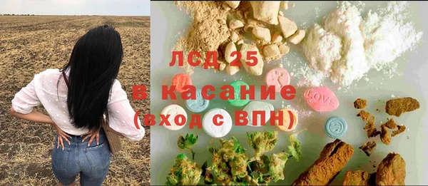 шишки Арсеньев